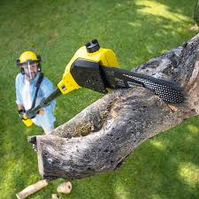 Best Tree Trimming and Pruning  in Heber Springs, AR